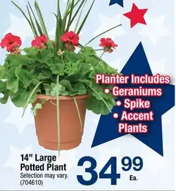 Ace Hardware 14 Large Potted Plant offer