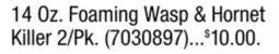 Ace Hardware 14 Oz. Foaming Wasp & Hornet Killer 2/Pk offer