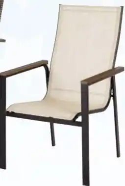 Ace Hardware Steel Frame Sling Chair offer