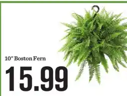 Mariano's 10 Boston Fern offer