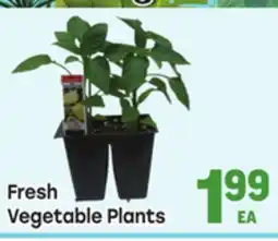 Tony’s Fresh Market Fresh Vegetable Plants offer
