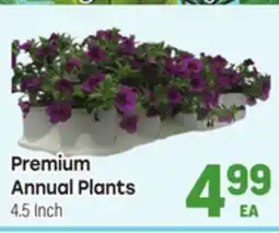 Tony’s Fresh Market Premium Annual Plants offer