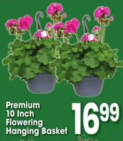 Jewel-Osco Premium 10 Inch Flowering Hanging Basket offer