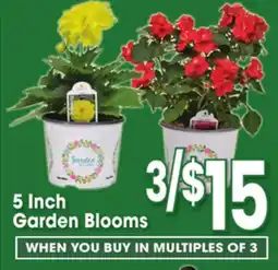 Jewel-Osco 5 Inch Garden Blooms offer