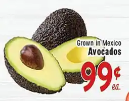 Rio Valley Market Avocados offer