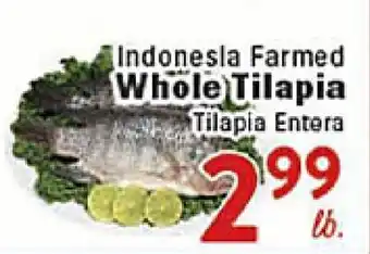 Rio Valley Market Indonesia Farmed Whole Tilapia offer