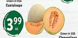 Rio Valley Market Cantaloupe offer