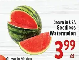 Rio Valley Market Seedless Watermelon offer