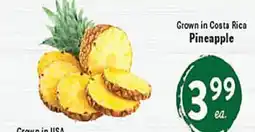 Rio Valley Market Pineapple offer