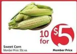 Safeway Sweet Corn offer