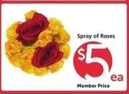 Safeway Spray of Roses offer