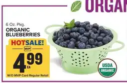 Food Lion Organic Blueberries offer