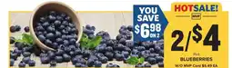 Food Lion Blueberries offer