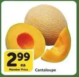 Albertsons Cantaloupe offer