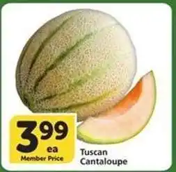 Albertsons Tuscan Cantaloupe offer