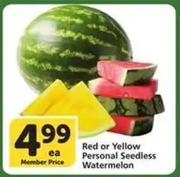 Albertsons Red or Yellow Personal Seedless Watermelon offer