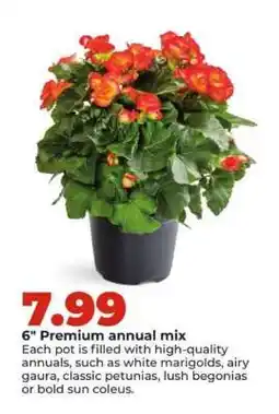 Hy-Vee 6 Premium annual mix offer