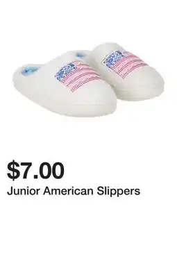 Five Below Junior American Slippers offer