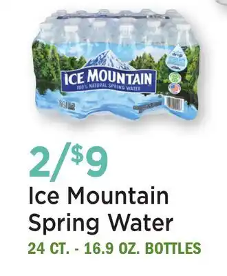 Heinen's Ice Mountain Spring Water offer