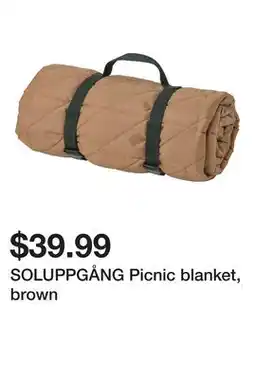 Ikea SOLUPPGÅNG Picnic blanket, brown offer