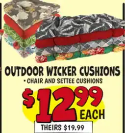 Ollie's OUTDOOR WICKER CUSHIONS offer