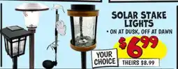 Ollie's SOLAR STAKE LIGHTS offer