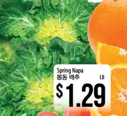Hmart Spring Napa offer