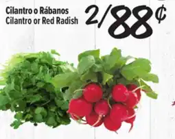 El Super Fresh Cilantro or Red Radish offer
