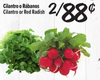 El Super Fresh Cilantro or Red Radish offer
