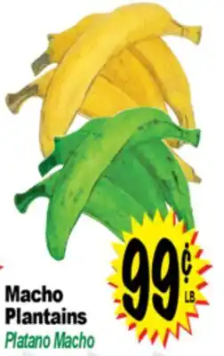 Superior Grocers Macho Plantains offer