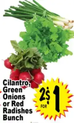 Superior Grocers Cilantro, Green Onions or Red Radishes offer