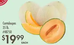 Smart & Final Cantaloupes offer