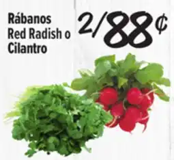 El Super Red Radish o Cilantro offer
