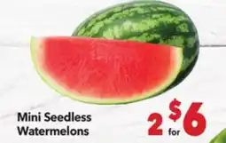 Vallarta Supermarkets Mini Seedless Watermelons offer