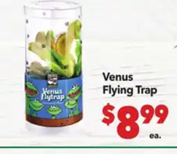 Vallarta Supermarkets Venus Flying Trap offer