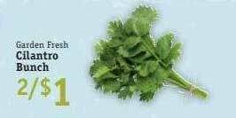 Foodarama Garden Fresh Cilantro Bunch offer