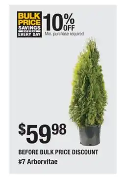 The Home Depot 7 Arborvitae offer
