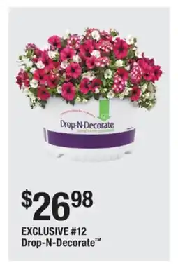 The Home Depot 12 Drop-N-Decorate offer