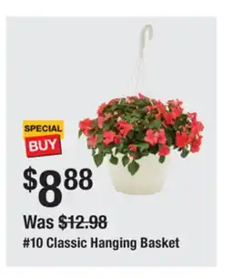 The Home Depot Classic Hanging Basket offer