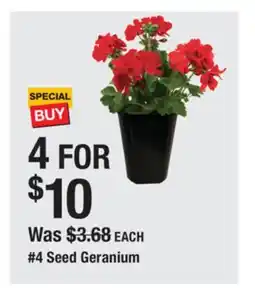 The Home Depot 4 Seed Geranium offer