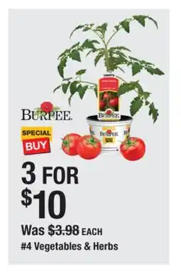 The Home Depot BURPEE Vegetables & Herbs offer
