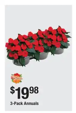 The Home Depot 3-Pack Annuals offer