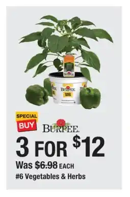The Home Depot 6 Vegetables & Herbs offer