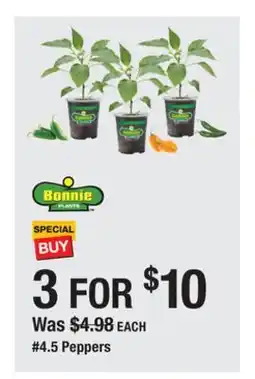 The Home Depot 4 5 Peppers offer
