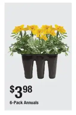 The Home Depot 6-Pack Annuals offer