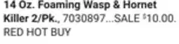 Ace Hardware Black Flag Insect Killers 14 Oz. Foaming Wasp & Hornet Killer 2/Pk offer