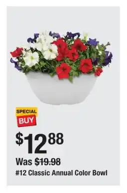 The Home Depot 12 Classic Annual Color Bowl offer