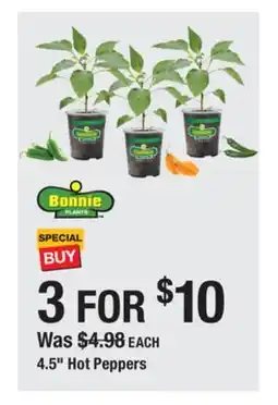 The Home Depot 4.5 Hot Peppers offer
