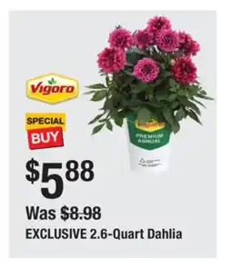 The Home Depot VIGORO 2.6-Quart Dahlia offer