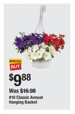 The Home Depot 10 Classic Annual Hanging Basket offer